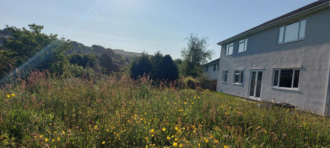 Highfield House, Parracombe, Modern B&B Exterior photo